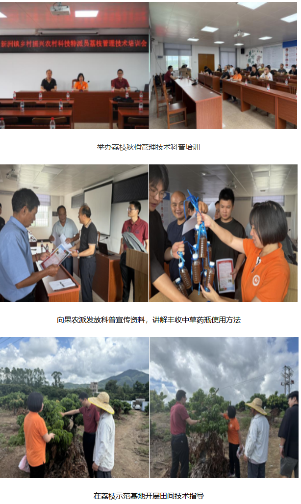 科技下沉,科普上山 校会农村科技特派员开展荔枝秋梢管理技术培训