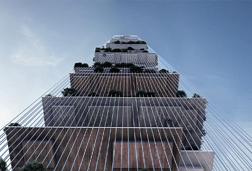 Skylines,纽约/生态