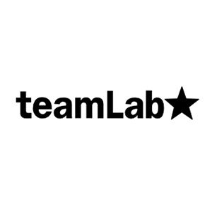上海蒂姆联铂信息技术有限公司