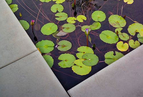 建研中心，东莞/景观设计