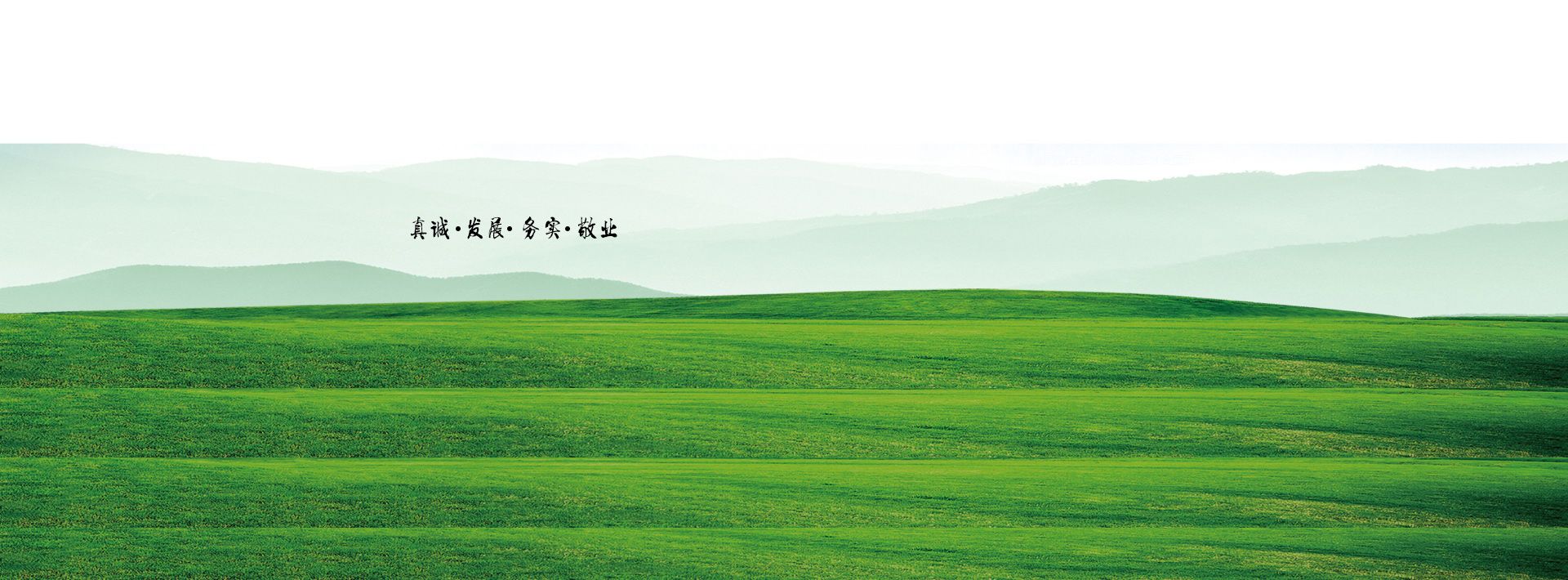 湖北龙腾园林工程有限公司