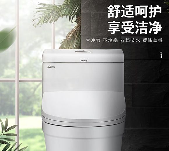 埃美柯新款一体马桶坐便器家用卫生间防臭马桶加厚缓降马桶座便器防堵大冲洗TL2110 马桶2110 坑距305mm