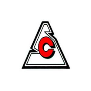 上海市工程建设咨询监理有限公司企业logo