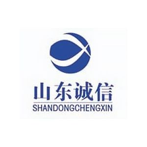 山东诚信工程建设监理有限公司企业logo