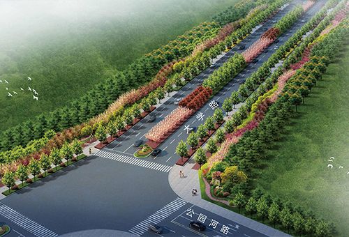 禹州市大学路、学府西路等绿化工程设计,许昌/景观
