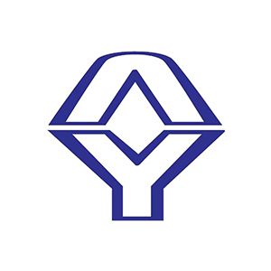 山西安宇建设监理有限公司Company Logo