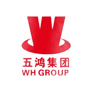 广西五鸿建设集团有限公司企业logo