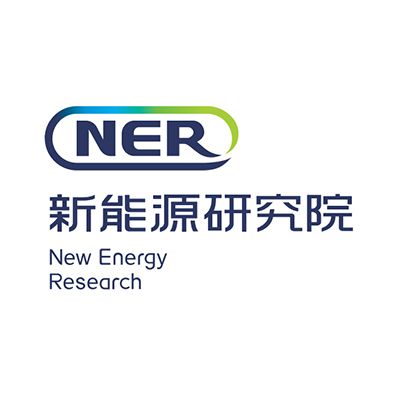 新疆新能源研究院有限责任公司企业logo