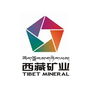 西藏翔龙矿业有限公司企业logo