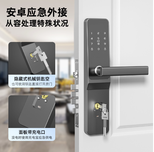 智能门锁批发防盗门电子锁出租房民宿IC通通锁APP远程公寓密码锁（2063公寓密码APP-电子锁体26*203（带USB））