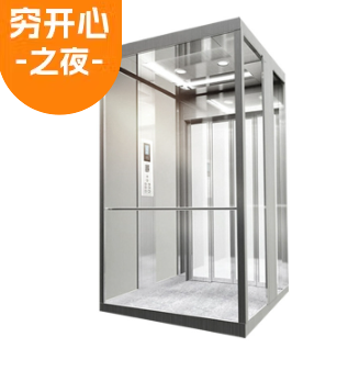 "家用电梯小型无地坑 家用电梯别墅三层液压升降台 家 庭用电梯（最高3.8mm）"