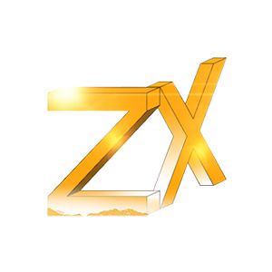 中岳振兴有限公司企业logo