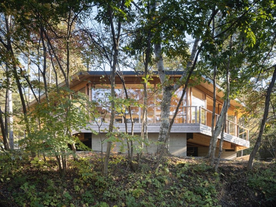 轻井泽山居,日本 / Naoi Architecture