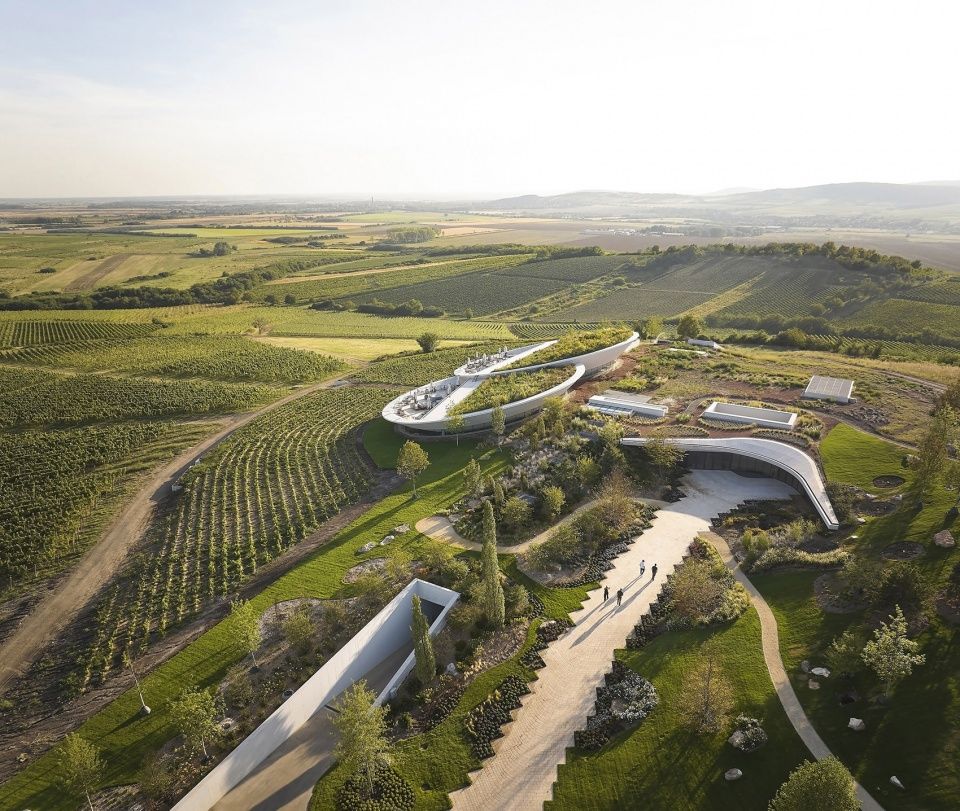 Sauska Tokaj酿酒厂,匈牙利 / BORD Architectural Studio