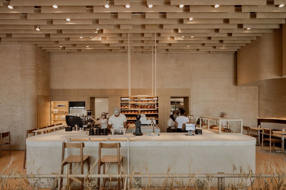 Krume面包店,巴拿马 / Mallol