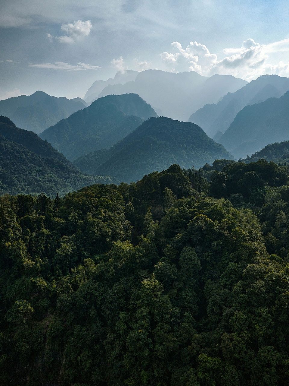 岚域·峨眉山，四川 / Studio J. Bridgland