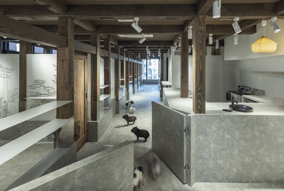 pignic浅草店，日本 / KAMITOPEN