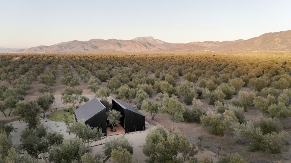 Serentha小屋，墨西哥 / ORTO Studio