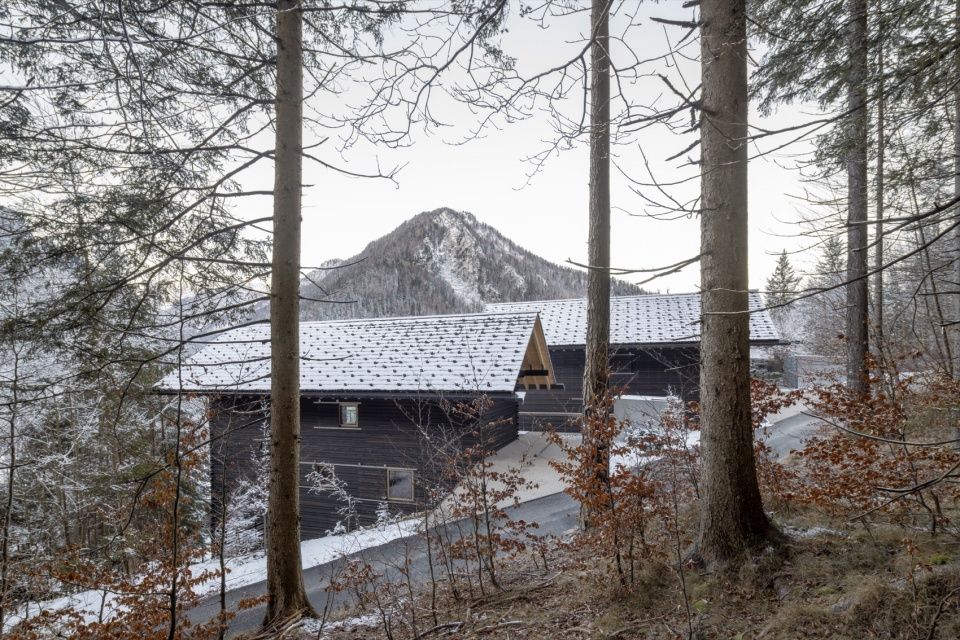 双生阿尔卑斯住宅,斯洛文尼亚 / Dekleva Gregoric Architects