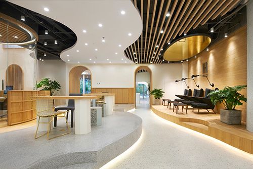 水仙沙⻰，北京/室内