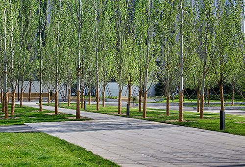 嘉都公园，北京/景观