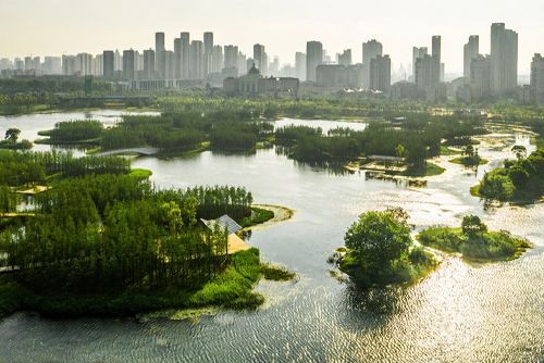 南昌市鱼尾洲公园，南昌/景观