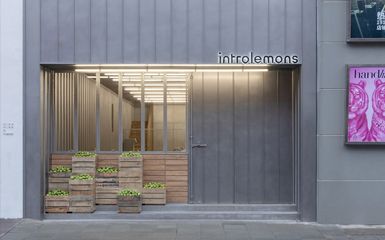 Introlemons安福路，上海/室内