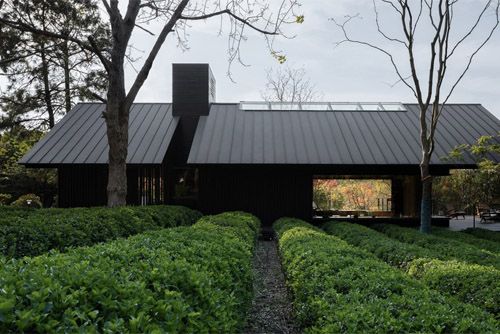 林中茶屋，武汉 / 建筑