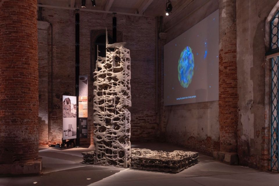 The Why Factory与艺术家Federico Díaz于2025年威尼斯建筑双年展呈现《BIOTOPIA：繁衍结构》