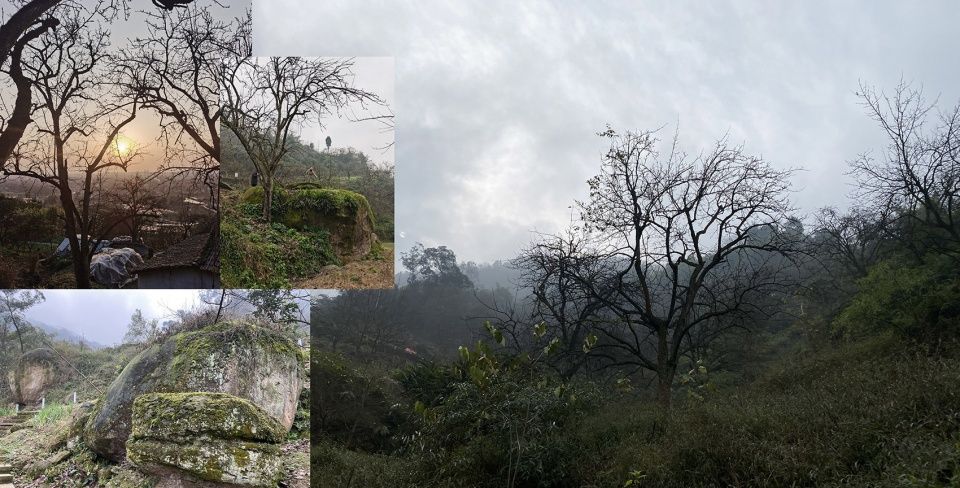 不在山林·山谷石窑，四川泸州 / 小隐建筑