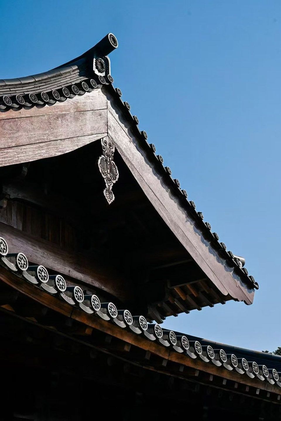 小山寺·宿心集，德清 / 无设建筑