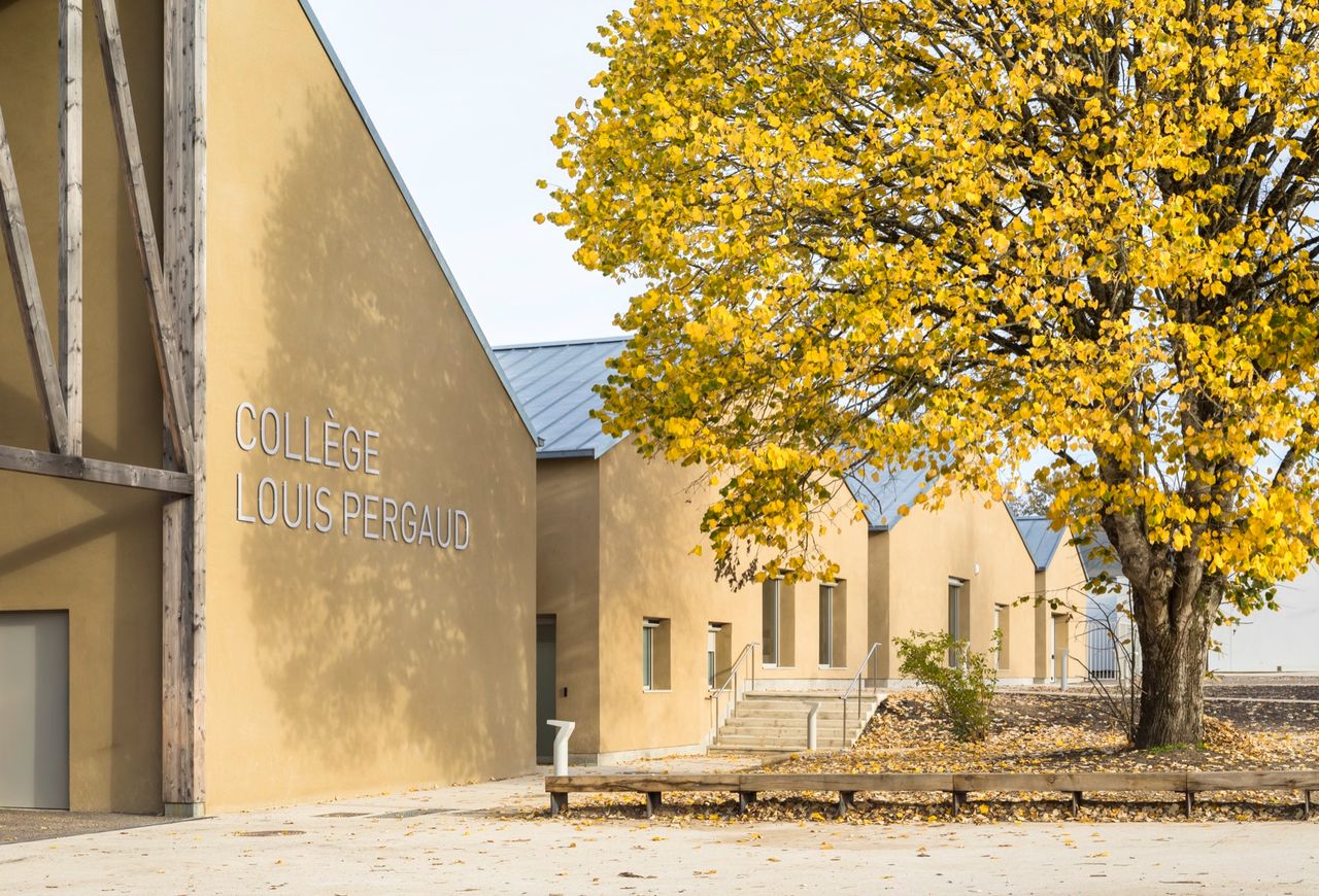 Louis Pergaud Wood学校，法国 / Guinée*Potin architects