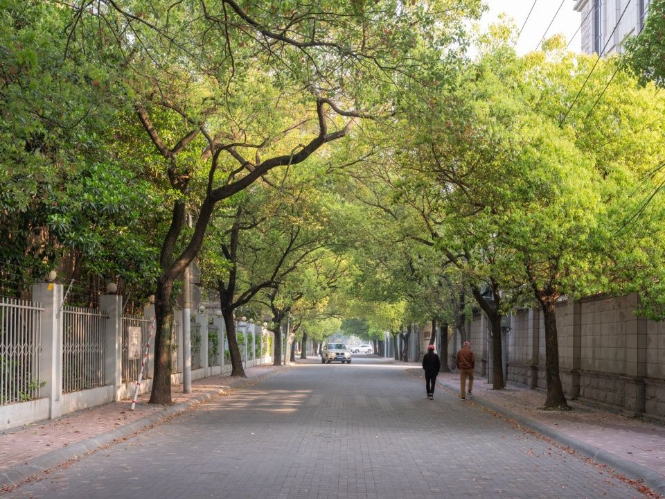 梅香漫道：上海徐汇虹梅街道宜州路及全州路景观微更新 / 刘宇扬建筑事务所